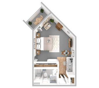 DSL_PSL_CHDB_Suite_EagleRock_375-475sqft_WEB