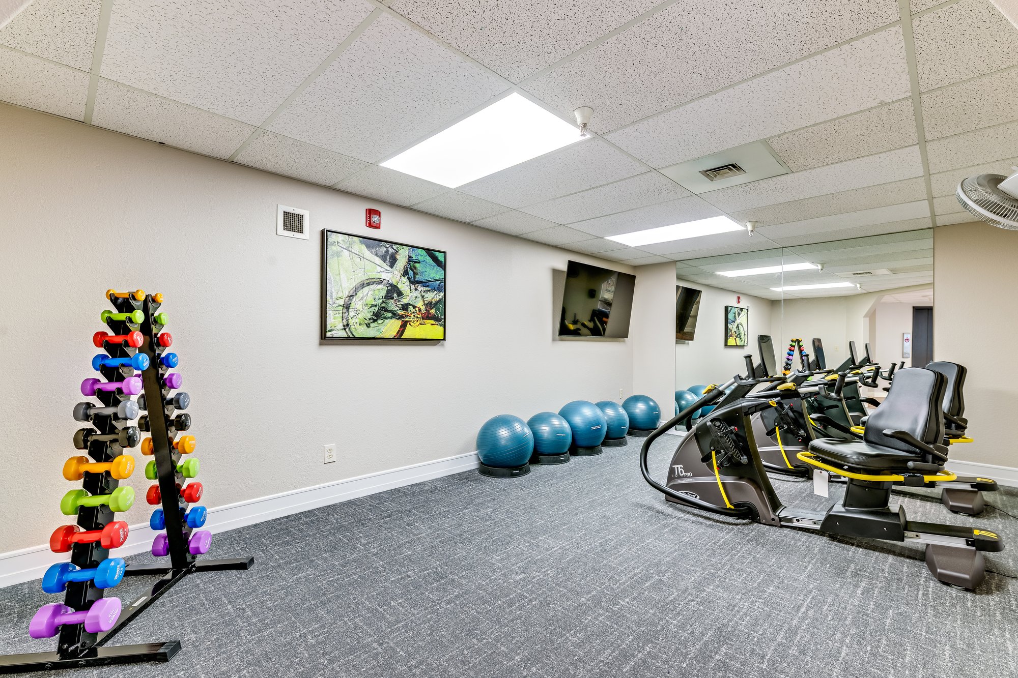 Health and Fitness Area-3